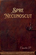 SPRE NECUNOSCUT