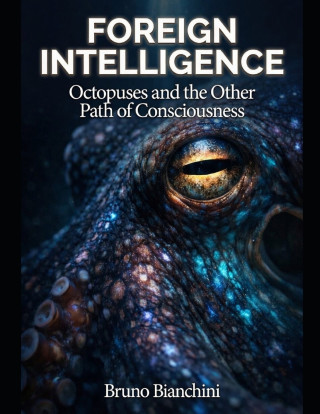FOREIGN INTELLIGENCE