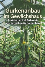 Gurkenanbau im Gewächshaus