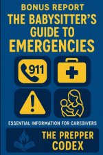 The Babysitter's Guide to Emergencies