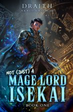 Not (Just) a Mage Lord Isekai 1