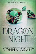 Dragon Night