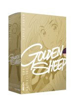 Golden sheep