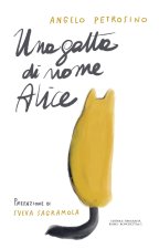 gatta di nome Alice
