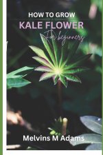 How to grow kale flowers for beginners