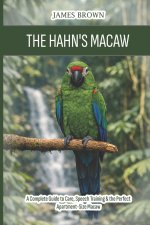 The Hahn's Macaw