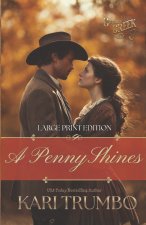 A Penny Shines
