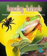 Amazing Animals