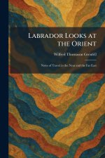 Labrador Looks at the Orient