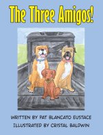 The Three Amigos!
