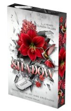 Shadow