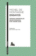 Ensayos / Essays