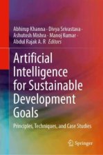 Artificial Intelligence for Sustainable Development Goals