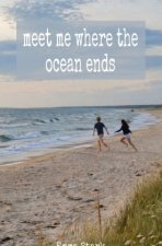 meet me where the ocean ends