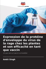 Expression de la protéine d'enveloppe du virus de la rage chez les plantes et son efficacité en tant que vaccin