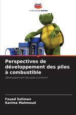 Perspectives de développement des piles à combustible