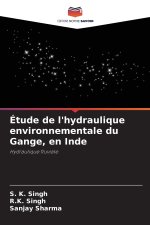 Étude de l'hydraulique environnementale du Gange, en Inde