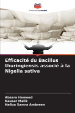 Efficacité du Bacillus thuringiensis associé à la Nigella sativa