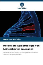 Molekulare Epidemiologie von Acinetobacter baumannii