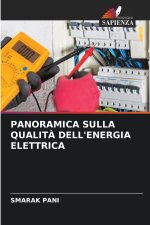 PANORAMICA SULLA QUALITÀ DELL'ENERGIA ELETTRICA
