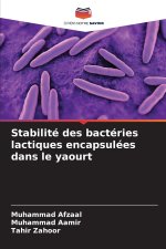 Stabilité des bactéries lactiques encapsulées dans le yaourt