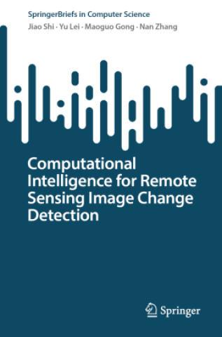 Computational Intelligence for Remote Sensing Image Change Detection