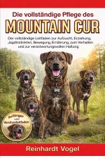 DIE VOLLSTÄNDIGE PFLEGE DES MOUNTAIN CUR