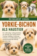 YORKIE-BICHON ALS HAUSTIER