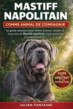 MASTIFF NAPOLITAIN COMME ANIMAL DE COMPAGNIE