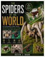 The Spiders of the World