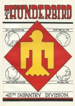 Thunderbird The 45th Infantry Division In World War Two & Korea