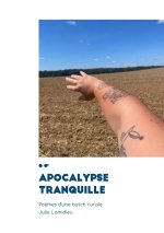 Apocalypse tranquille