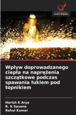 Wpływ doprowadzanego ciepła na naprężenia szczątkowe podczas spawania łukiem pod topnikiem
