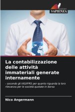 La contabilizzazione delle attività immateriali generate internamente
