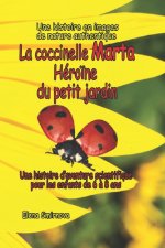 La coccinelle Marta Héroïne du petit jardin