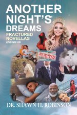 Another Night's Dreams