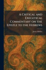 A Critical and Exegetical Commentary on the Epistle to the Hebrews