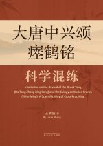 大唐中兴颂瘗鹤铭科学混练