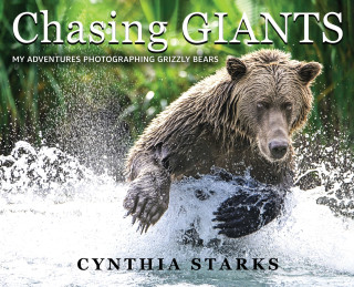 Chasing Giants
