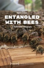 Entangled with Bees