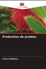 Production de protéas