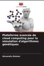 Plateforme avancée de cloud computing pour la simulation d'algorithmes génétiques
