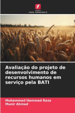Avaliação do projeto de desenvolvimento de recursos humanos em serviço pela BATI