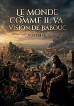 MONDE COMME IL VA VISION DE BABOUC