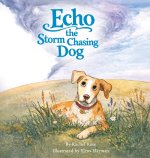Echo the Storm Chasing Dog