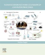 Nanotechnology for Cleaner Pulp and Paper Processes