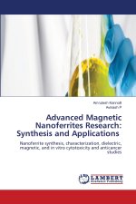 Advanced Magnetic Nanoferrites Research