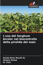 L'uso del Sorghum bicolor nel biocontrollo della piralide del mais