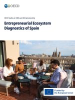 Entrepreneurial Ecosystem Diagnostics of Spain