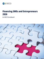 Financing SMEs and Entrepreneurs 2026